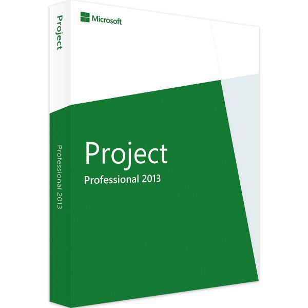 Projekt 2013 Professional